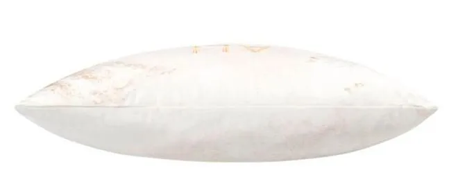 All You Need Is Love, Embellished Ivory Velvet with Gold Word Throw Pillow