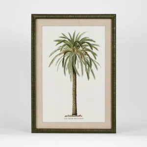 Apia Palms Wall Art C by Florabelle