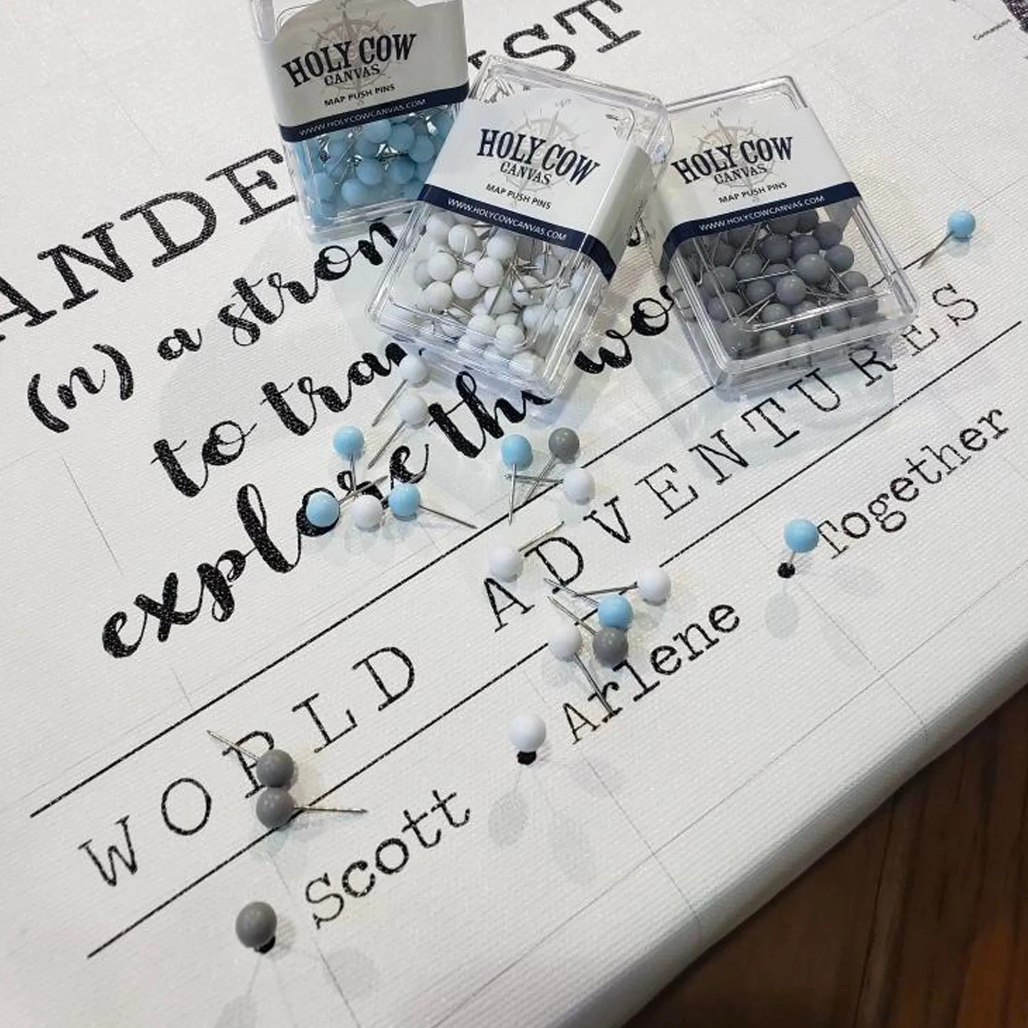 Black & White Push Pin World Map - 1 Panel