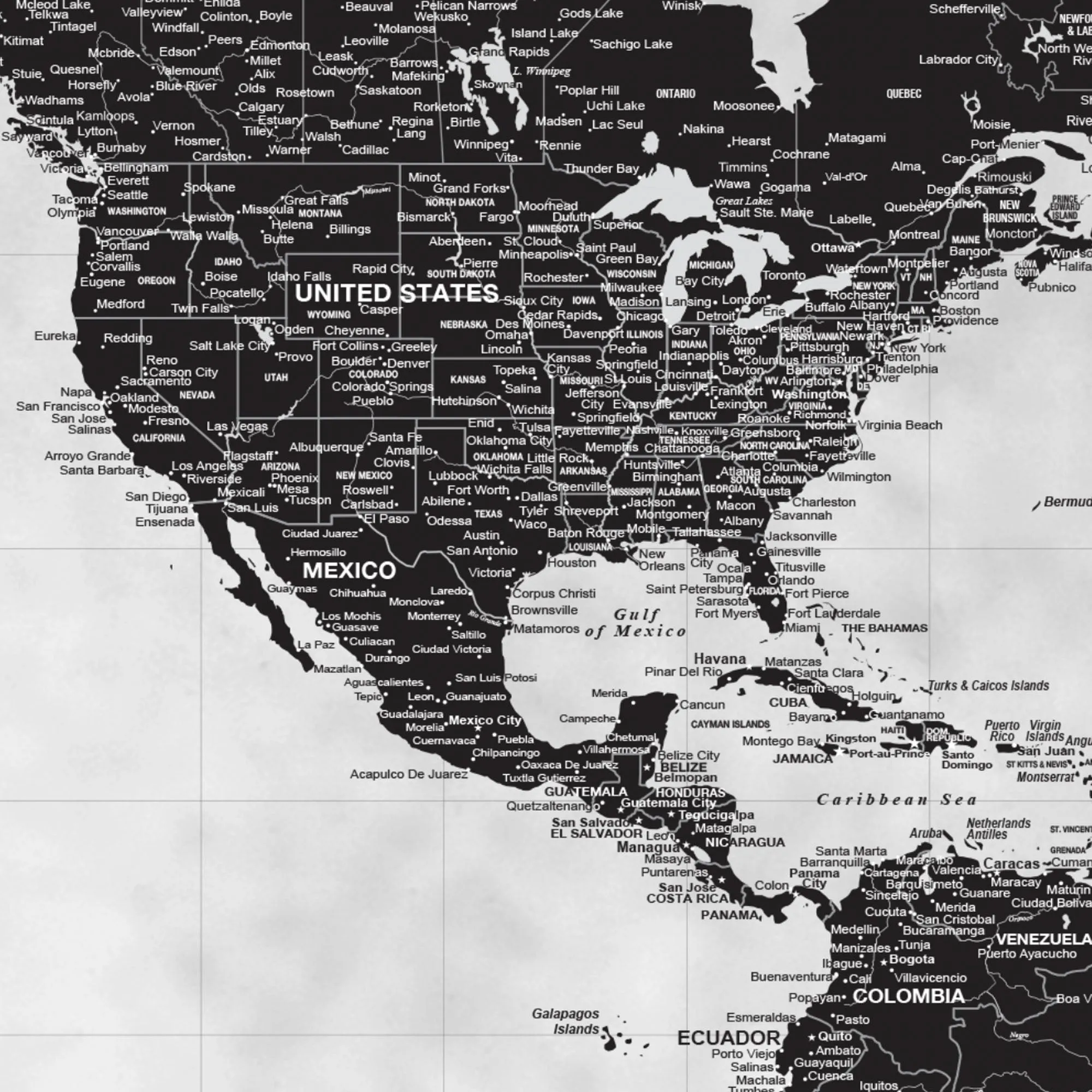 Black & White Push Pin World Map - 1 Panel