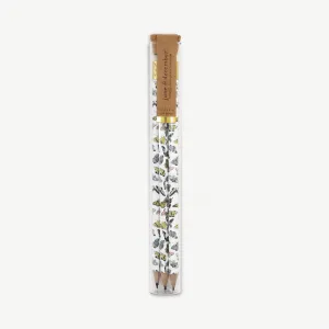 Butterfly Pencil Terrarium