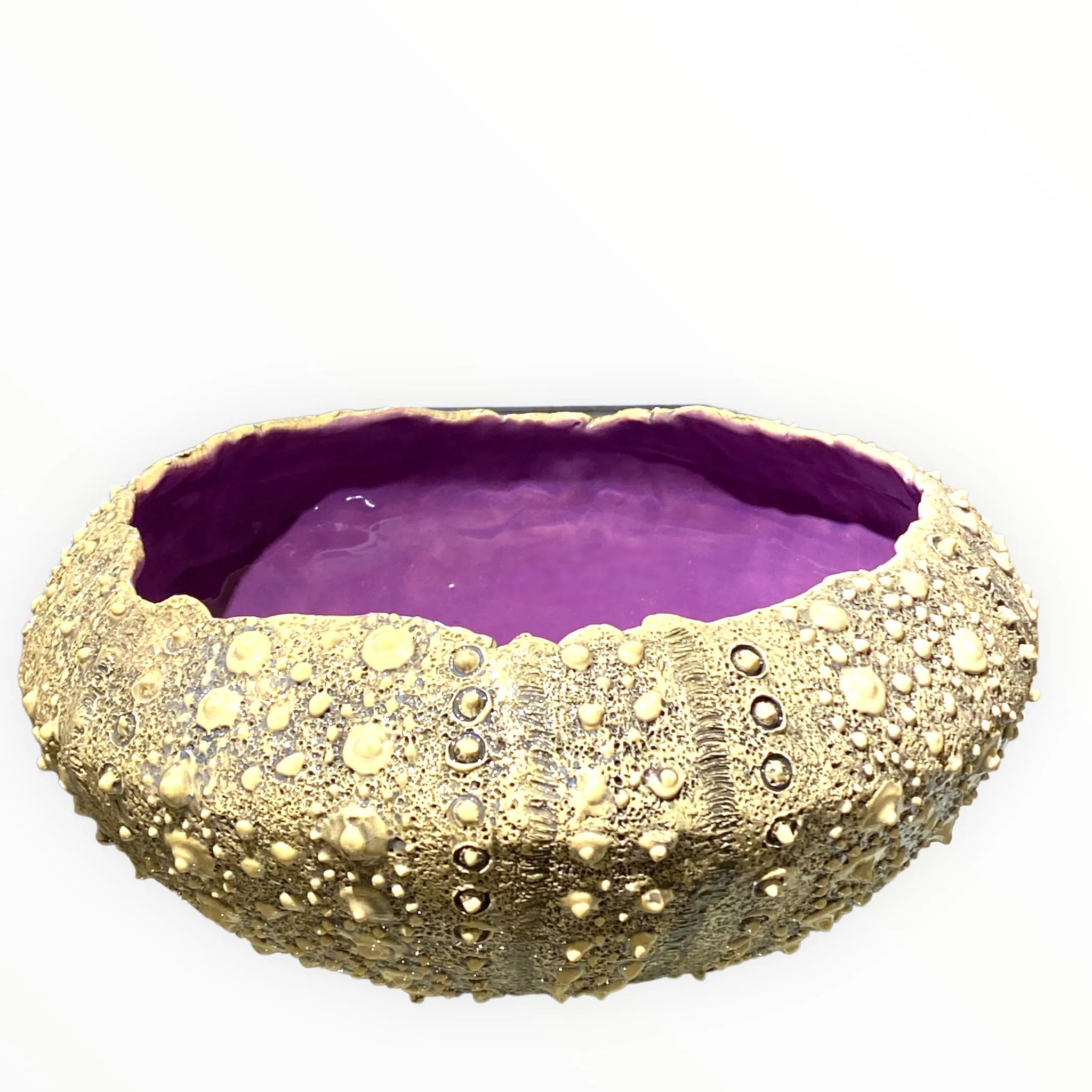 Ceramic Sea Urchin Wall Tiles, Bowls and Luminaries by Penny Eder