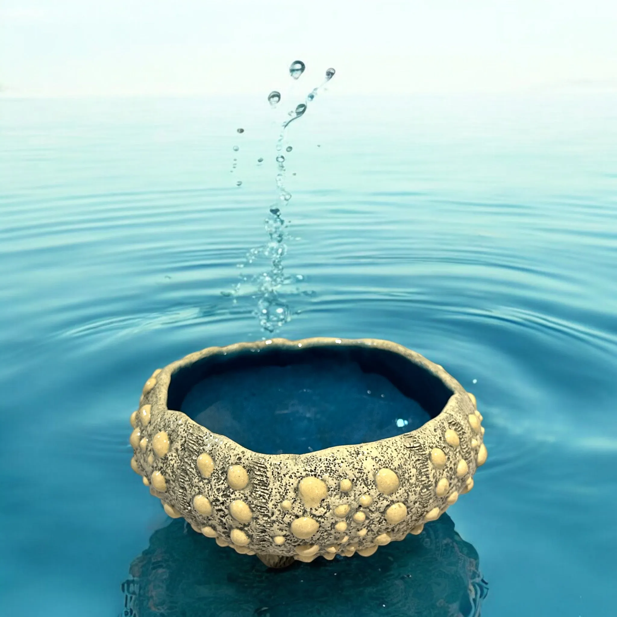 Ceramic Sea Urchin Wall Tiles, Bowls and Luminaries by Penny Eder