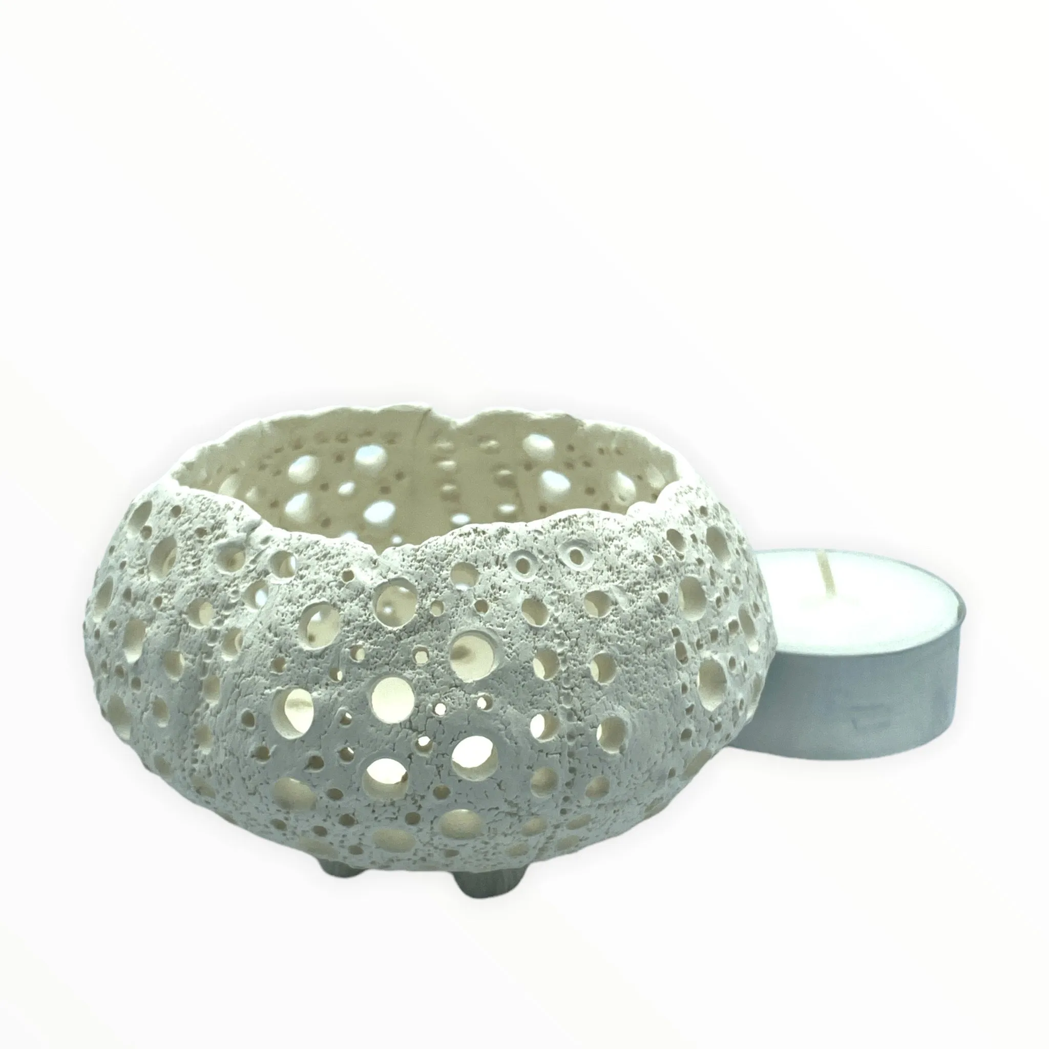 Ceramic Sea Urchin Wall Tiles, Bowls and Luminaries by Penny Eder