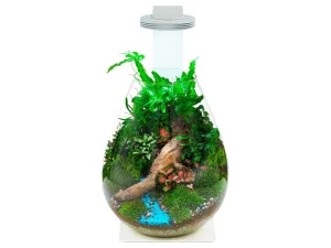 Chihiros- Magnetic Terrarium Light Base Glass Pot