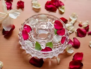 Craft villa Vastu Feng Shui Crystal Turtle Tortoise with Plate for Good Luck Feng Shui Tortoise Turtle, Crstal Or Glass Plate Tortoise for Good Luck and Wealth Creation