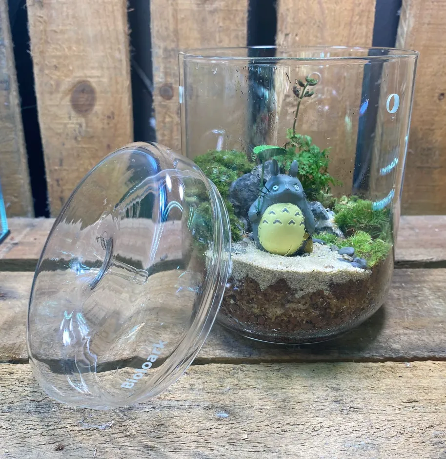 DOORGIFT TERRARIUMS Bioloark MY120H Pack (20 Sets)