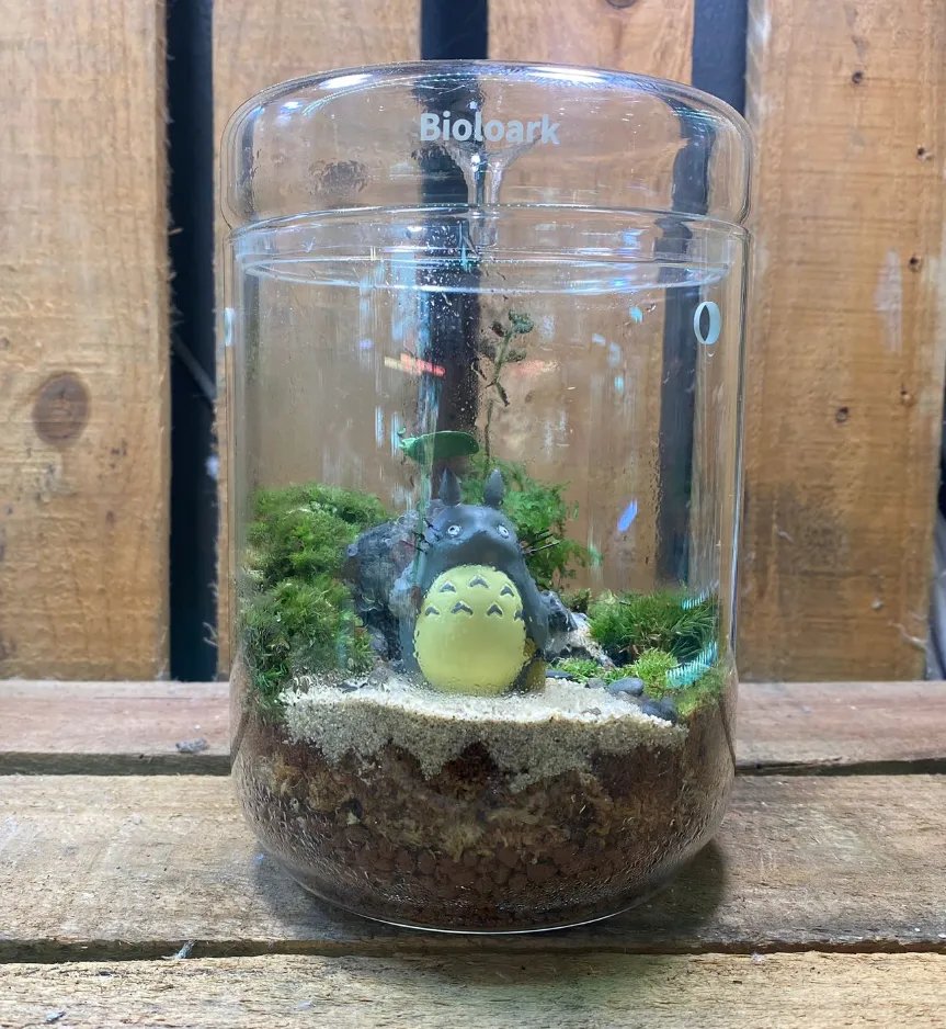 DOORGIFT TERRARIUMS Bioloark MY120H Pack (20 Sets)