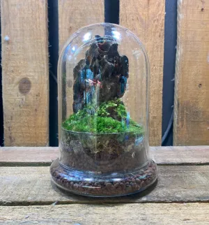 DOORGIFT TERRARIUMS Cone Pack (50 Sets)