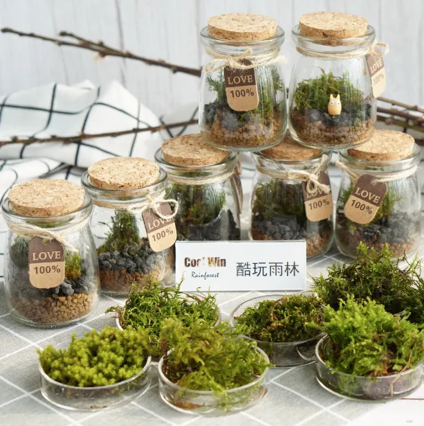 DOORGIFT TERRARIUMS MiniMini Pack (Cork Cap / 100 Sets)