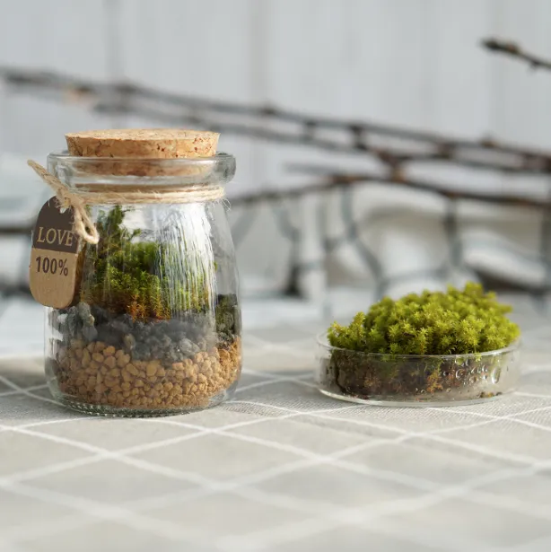 DOORGIFT TERRARIUMS MiniMini Pack (Cork Cap / 100 Sets)