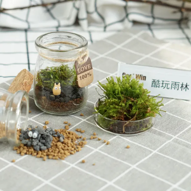 DOORGIFT TERRARIUMS MiniMini Pack (Cork Cap / 100 Sets)