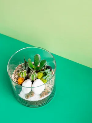 Large Cylinder Terrarium