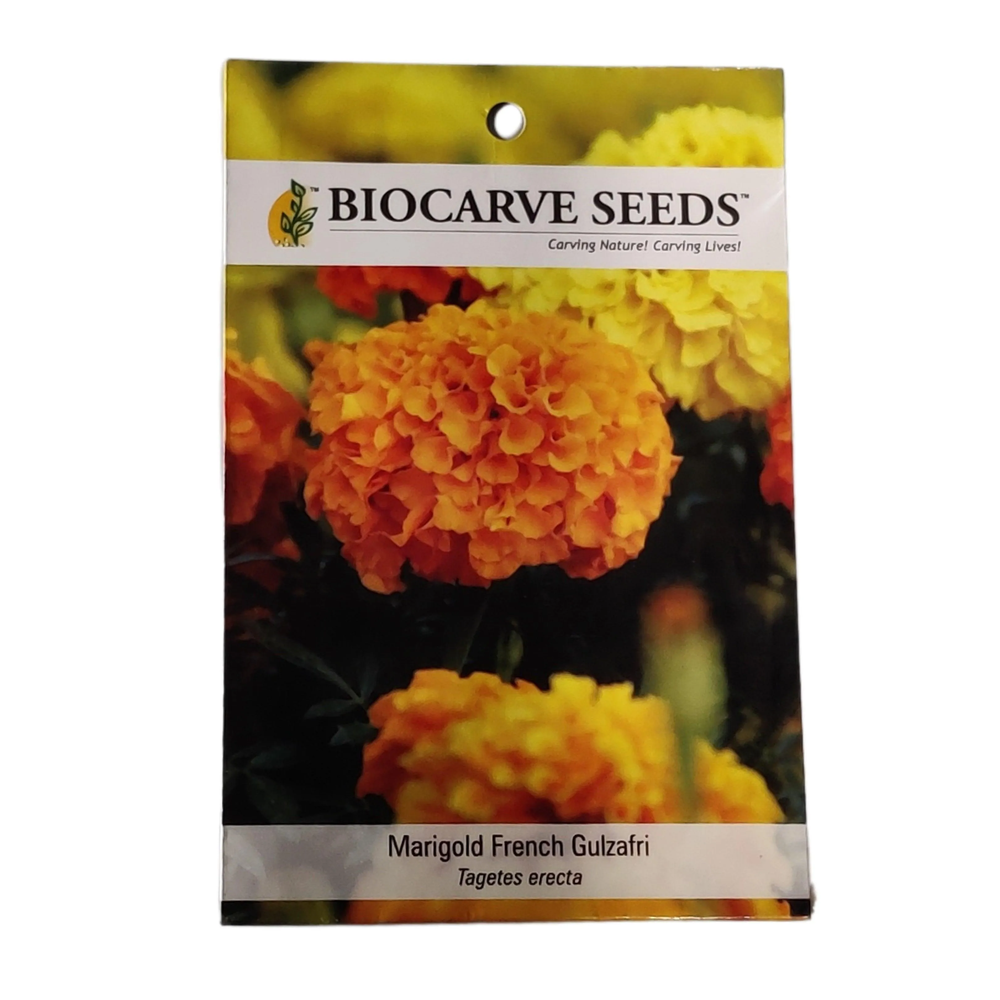 Marigold French gulzafri Flowring seeds (pack of 1) 30g