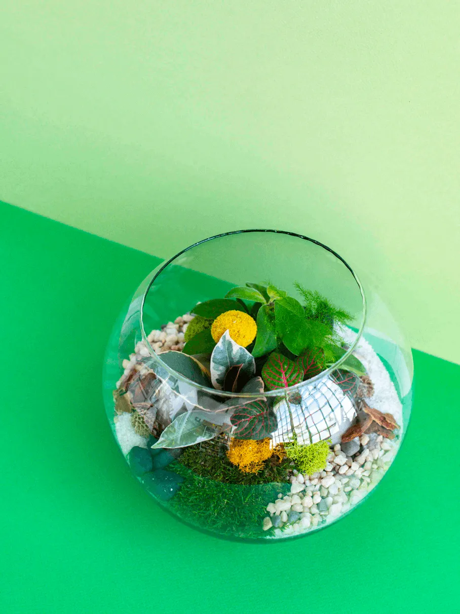 Medium Globe Terrarium