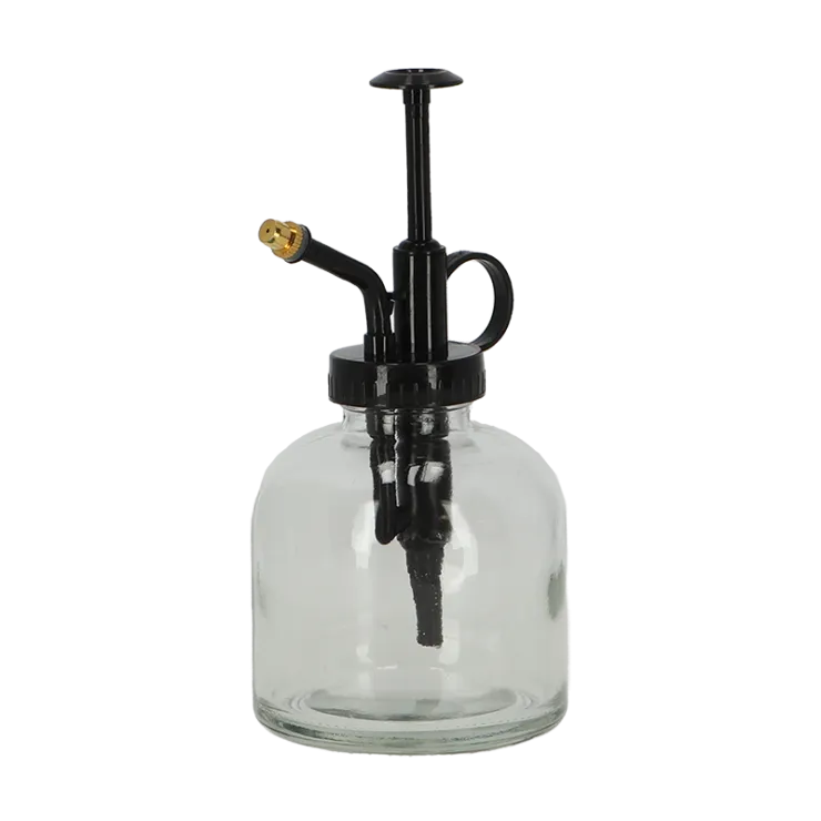Plant mister transparent - Glass