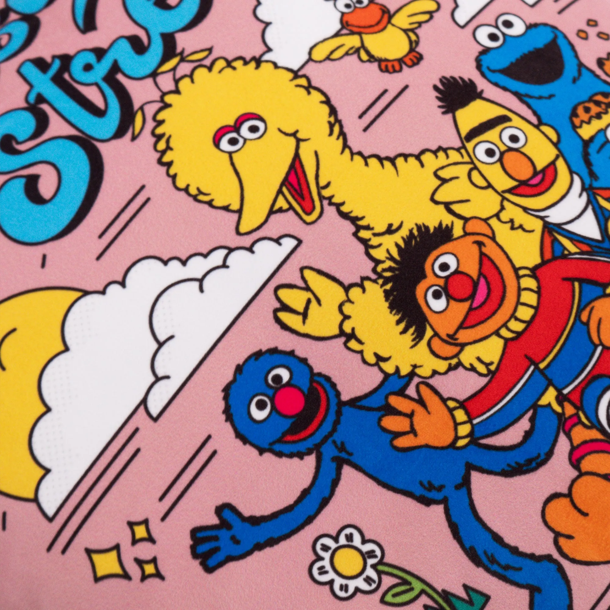 Scatter Cushion Cover 47 x 47cm - Sesame Street Since 1969