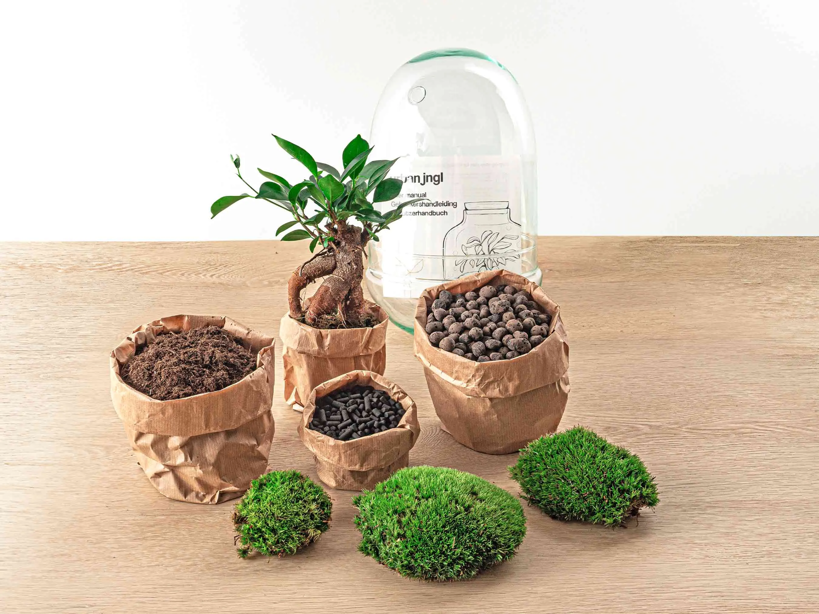 Terrarium DIY Kit - Egg XL Bonsai - Bottle Garden - ↑ 30 cm