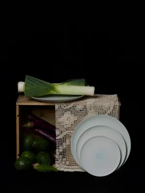 WASH WARE PLATE (ROBIN EGG)