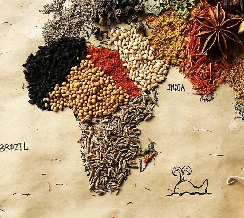 World Spice Map Canvas Art